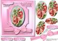 Beautiful Pink Cameo Roses