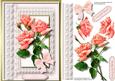 Beautiful Pink Roses and Lace