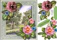 Beautiful Cammelias and Crchard Scene 