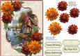 Beautiful Chrysanthemum's and Water Scene