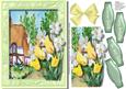 Tulips and Daffodils at Rose Cottage 