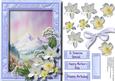 Beautiful Alpine Meadow and White Flowers