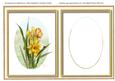 Incert, Signs of Spring
