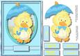 Litle Birthday Boy Chick in the Rain