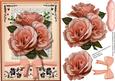 Lovely Apricot Roses on a Lace Square