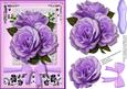 Beautiful Lilac Roses on a Lace Square
