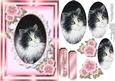 Beautiful Cat in a Oval Lace Frame , Pyramid