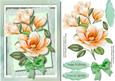 Lovely Magnolias in Apricot
