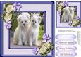 Beautiful Forever Friends , Lilac