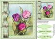 Beautiful Spring Tulips in a Pearl Frame 