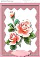 Beautiful Pink Roses on Lace