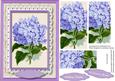 Beautiful Lilac Hydranger