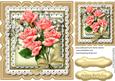 Beautiful Pink Roses in a Ornate Scalloped Frame