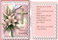 Sympathy, Topper and Incert in Pink