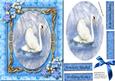 Beautiful Swan in a Gold Frame