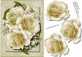 Beautiful Arabseque Golden Roses