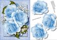 Beautiful Blue Arabesque Roses