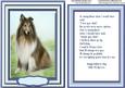 Topper, with Incert and Verse , a Mans Best Friend