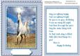 Topper., with Incert and Verse, Beautiful White Horse