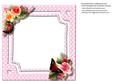 Incert the Beautiful Butterfly Garden 