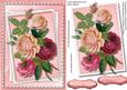 Lovely Pink Roses in a Stitched Frame 