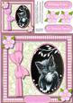 Lovely Monocrome Kitten in a Ginham Frame