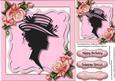 Beautiful Silhouette Lady in a Pink Frame