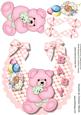 Lovely Baby Girl Bib and Pink Bear