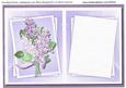 Incert A5 Lilac Time