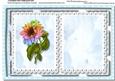 Incert, Rainbow Sunflower