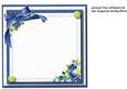Incert , Enchanting Roses