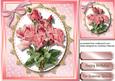 Beautiful Pink Roses 2