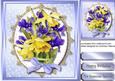 Beautiful Daffs and Irises 3