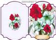 Print and Cut Beautiful Amaryllis