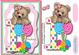 Little Fuzzy Bear Girls 1st Birthday 