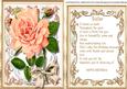 Beautifu Rose for a Spcial Sister, with Verse