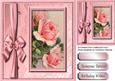 Beautiful Pink Klein Roses