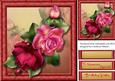 Beautiful Vibrant Roses