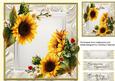 Beautiful Sunflowers