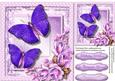 Lovely Butterfly's and Flowers 1