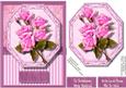 Beautiful Pink Roses