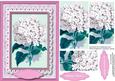 Beautiful White Hydranger in a Pink Frame