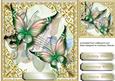 Lovely Greenandpink Butterfly's and Music