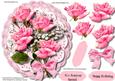Beautiful Vibrant Pink Roses on Double Lace