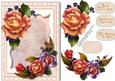 Beautiful, September Roses in a Kadare Frame