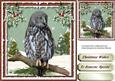 Male Christmas Card, the Night Owl