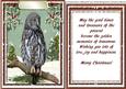 Lovely Male Card with Verse , the Night Owl