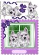 Lovely Scotties in the Window ,lilac