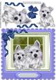 Lovely Scotties in the Window , Blue