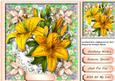 Beautiful Yellow Cullies 